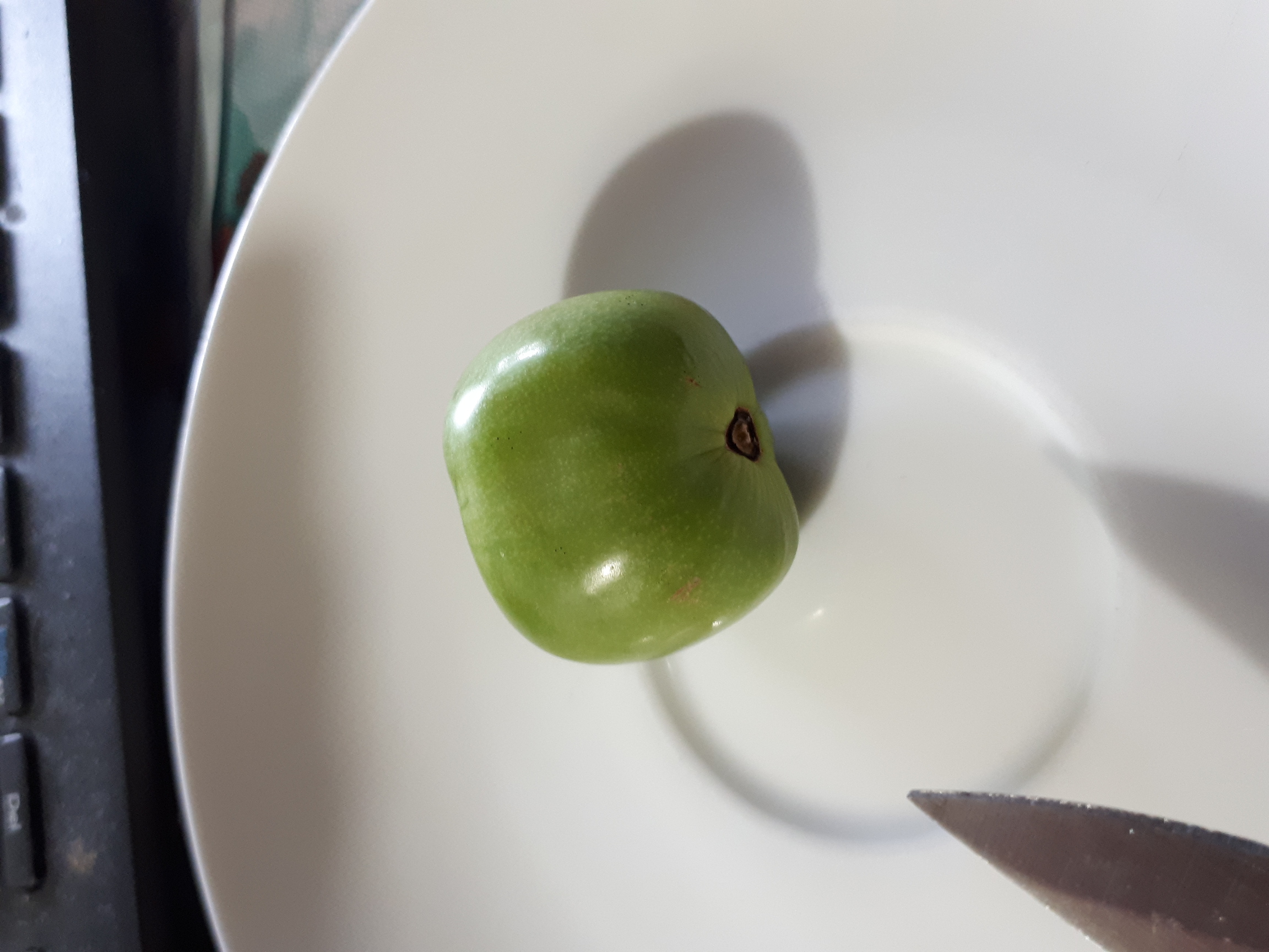 The fruit is the size of a cherry. Its skin is green.