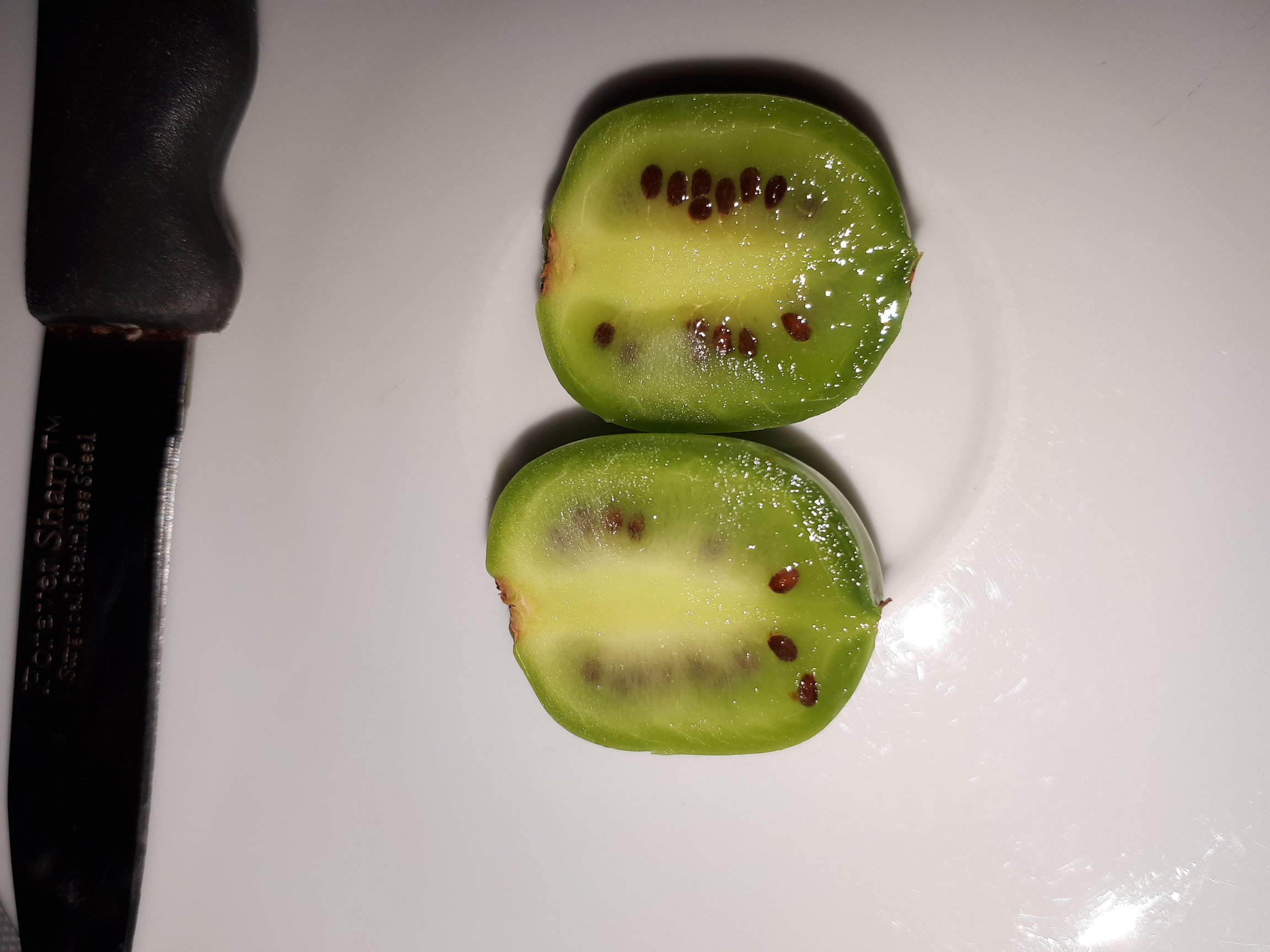 The inside is like a kiwi fruit.