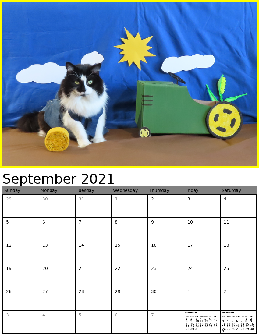 September 2021